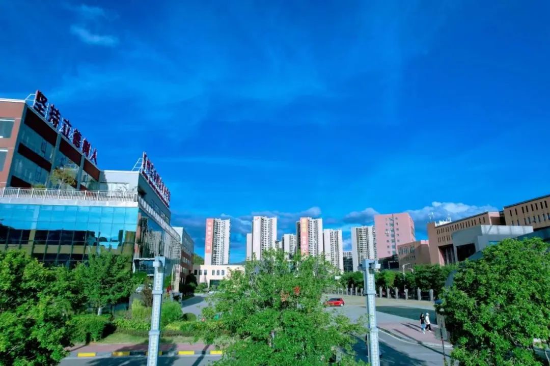 微信图片_20240223150152.jpg
