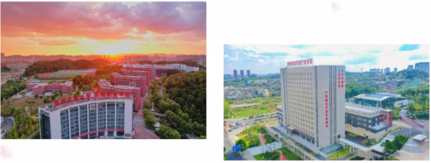 QQ截图20240223161503.png