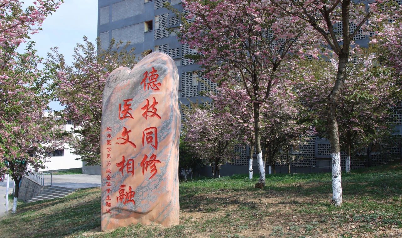 微信图片_20240223174057.jpg