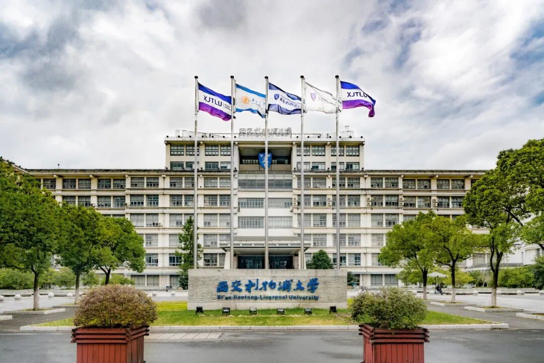 网5.jpg